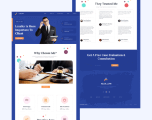 Our Portfolio b62e7906 lawyer.png